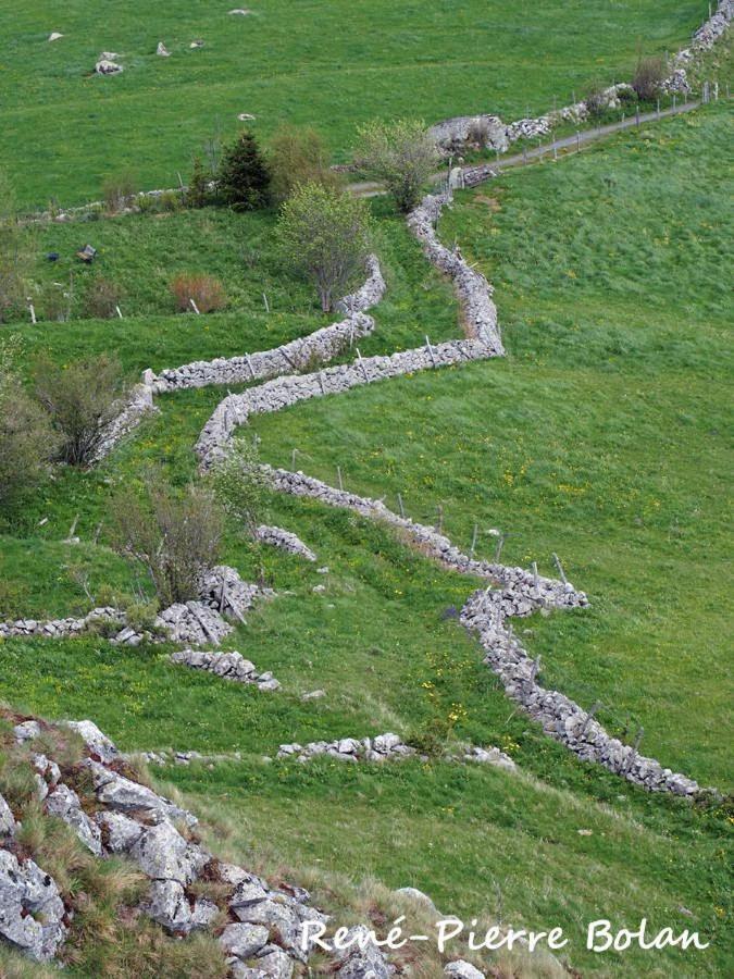 Gites Basques Laguiole Dış mekan fotoğraf