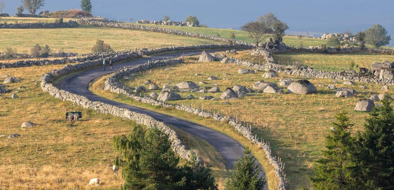 Gites Basques Laguiole Dış mekan fotoğraf